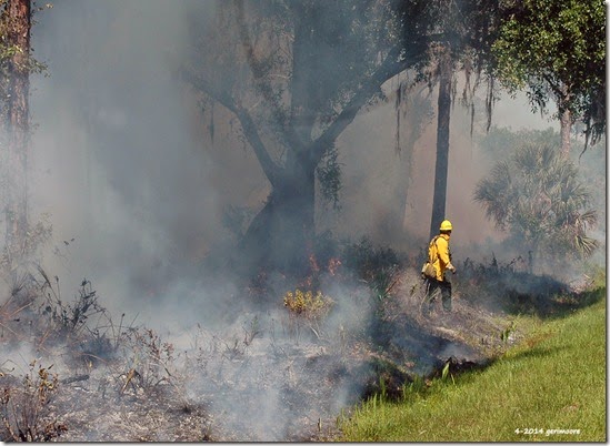 Myakka River SP fire 005