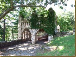 IMG_2682 IMG_2682