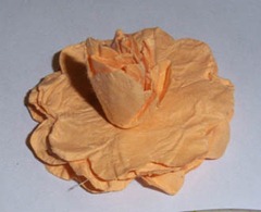 101_0074 101_0074