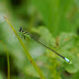 P1110588