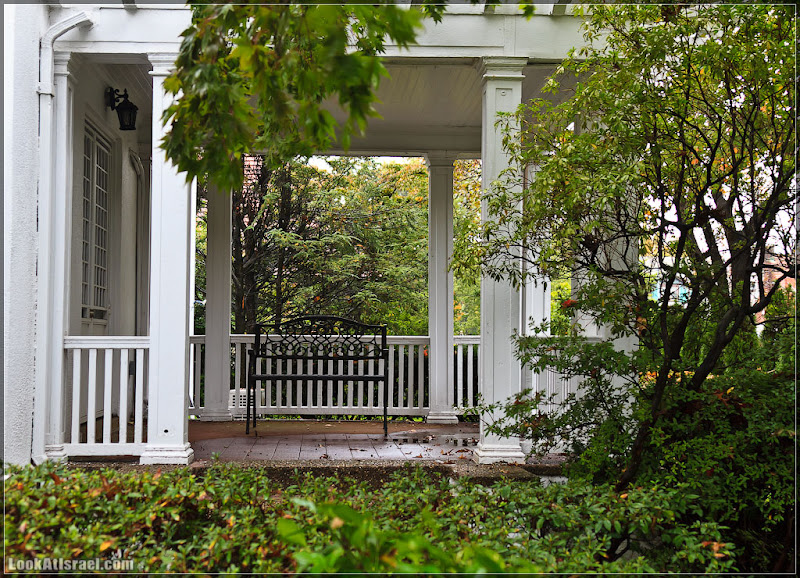 Америка 2.0 / Нью Йорк   Forest Hills (foto america  фото природа дождь и снег new york  20111019 usa ny forest hills 042 9133)