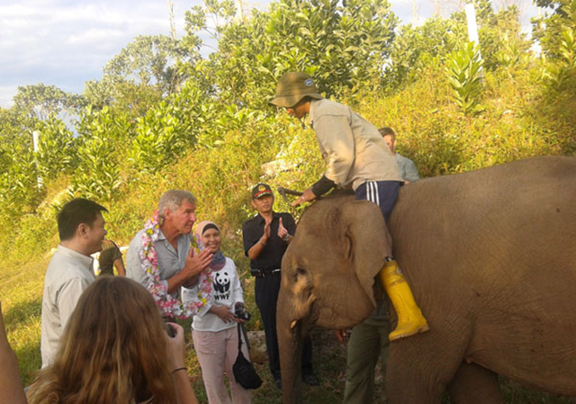 Harrison Ford in Tesso Nilo National Park, Sumatra, in September 2013. Ford sparked a complaint from Indonesia's top forest official after the actor asked a series of tough questions about ongoing rainforest destruction in the Southeast Asian nation, reports Indonesian state media. Photo: Zamzami / Mongabay-Indonesia