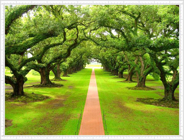 Amazing places around the world