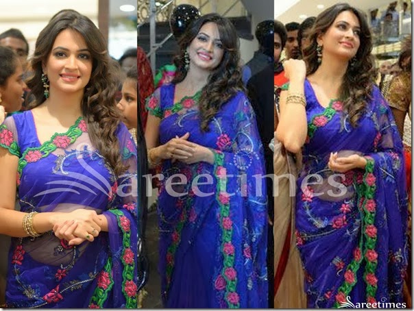 Kriti_Kharbanda_Blue_Net_Saree Kriti_Kharbanda_Blue_Net_Saree