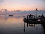 IMG_4367.jpg