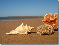 IMG_6474 IMG_6474