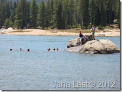 IMG_0786 IMG_0786