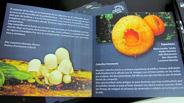 [IMG_1494%255B2%255D.jpg]