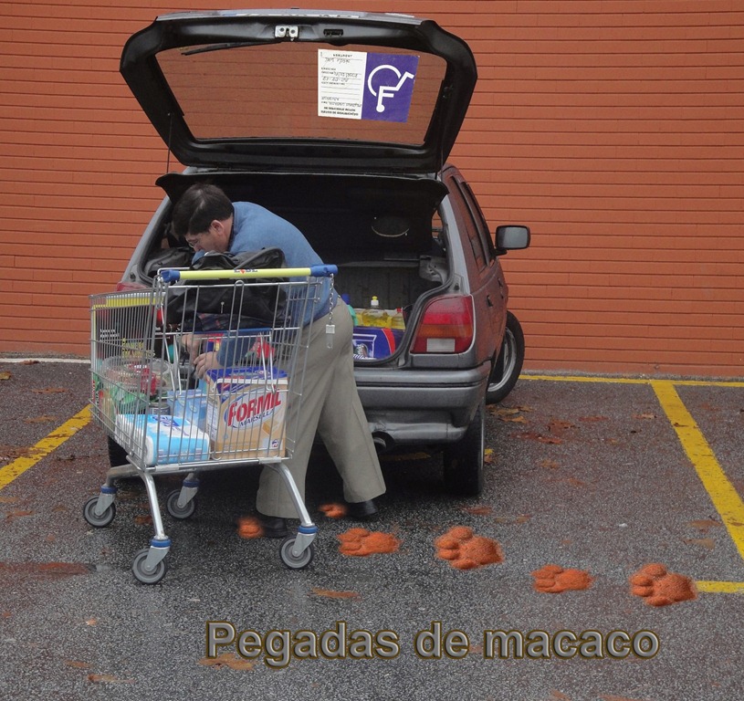 [Macacos%2520astutos%255B4%255D.jpg]