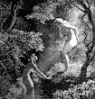Water Nymph