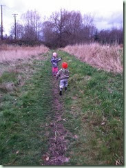 IMG_3450 IMG_3450