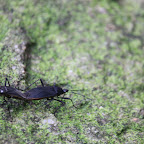 IMG_0060.JPG