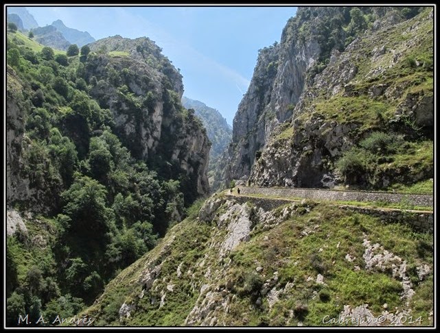 Picos 482 Picos 482