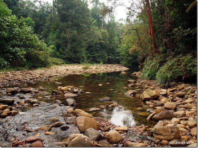 cool_waters_river_sarawak