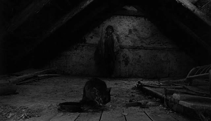 квиз без темы