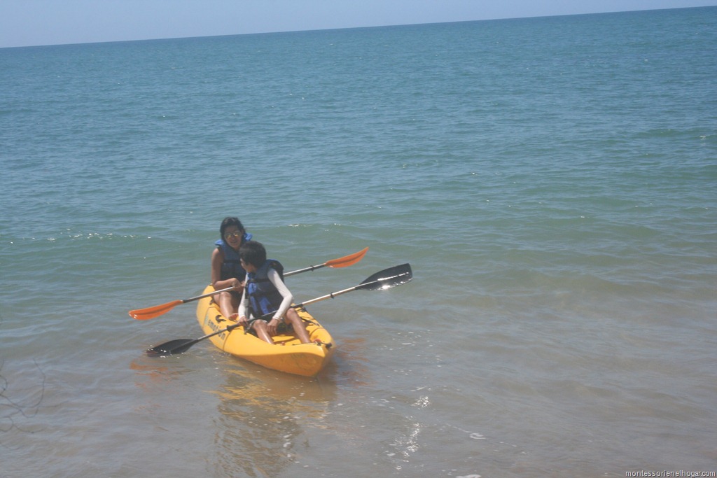 [IMG_50818.jpg]