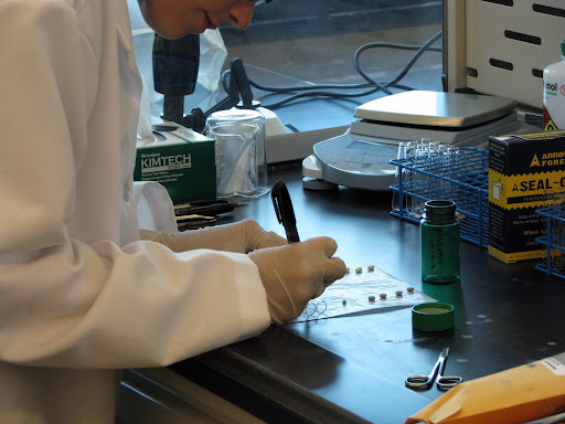 A drug chemistry technician working on evidence. (Photo credit: Jeremy Shreckhise)