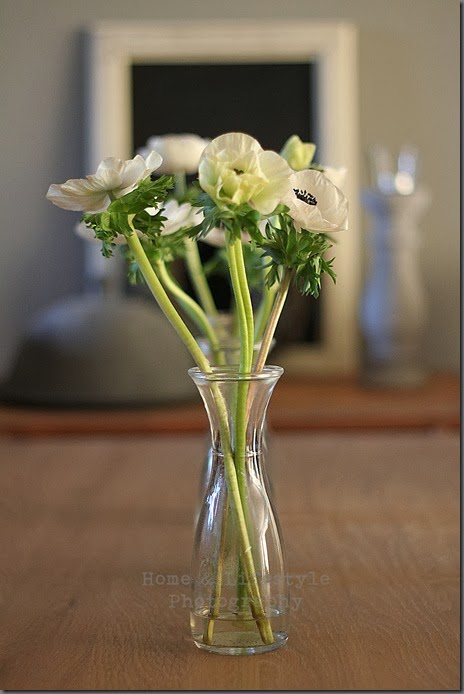 Home & Lifestyle Home & Lifestyle