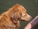 IMG_2617.JPG