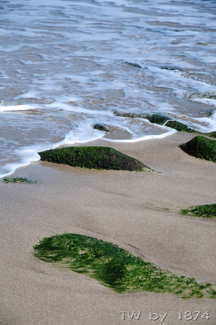 [DSC_6054%255B8%255D.jpg]