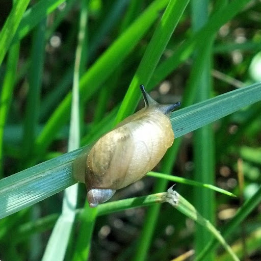 2012-05-19_10-08-13_468