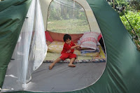 pinoyecofarm december _0150.JPG