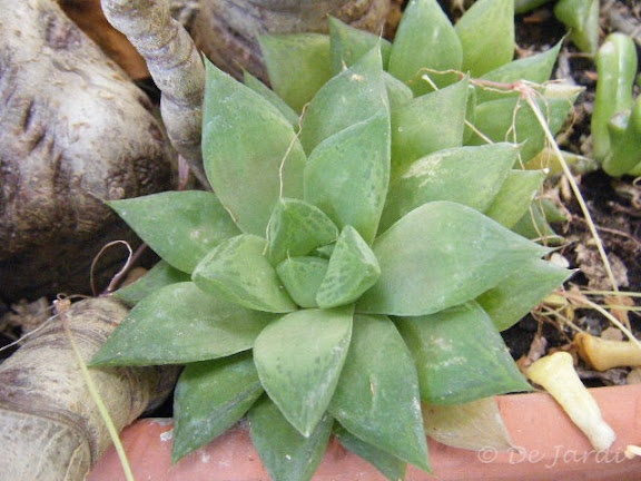 2012_05130013.jpg