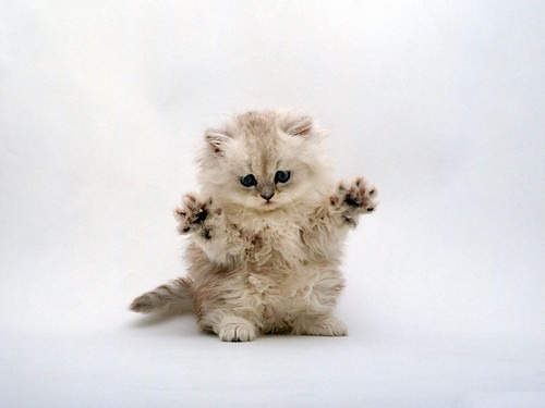 [tumblr_lefrgn0cut1qe8n4qo1_500%255B5%255D.jpg]