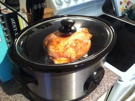 015 chook 015 chook