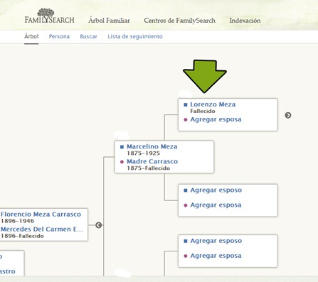 familytree-familysearch