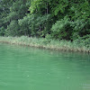 dsc03862.jpg