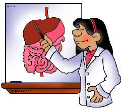 science_digestive_system_chart