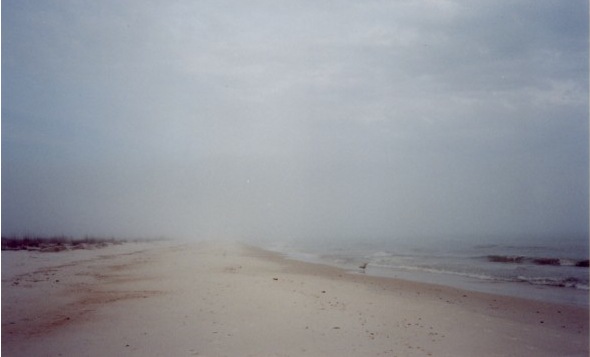 [foggy-beach4.jpg]