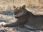 South Luanga Nationalpark