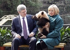 Harper and Panda Harper and Panda