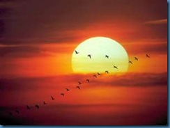 setting%20sun