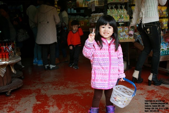 IMG_3726 IMG_3726