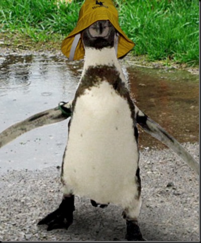 Dippy with rain hat Dippy with rain hat