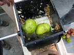 Sharkey, it's very impressive to see.  You put in the apples and......
