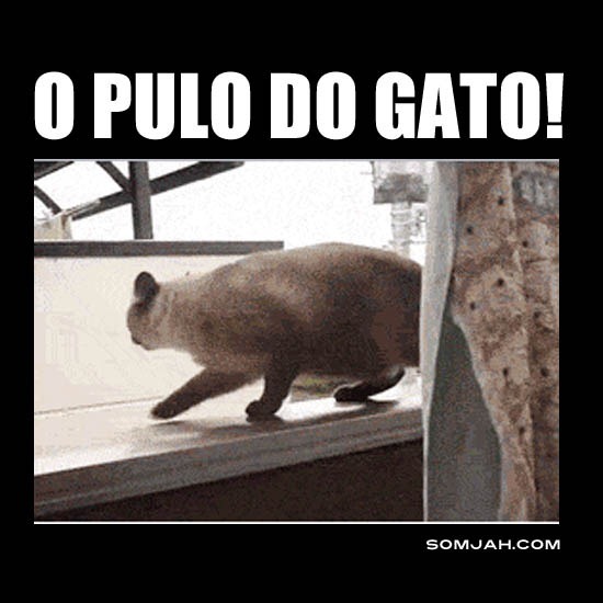 PULA GATINHO PULA GATINHO
