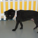 DSCN3576.jpg
