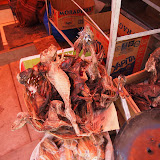 P5303449.JPG