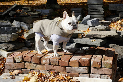 Franny,I really like the color of these old bricks.  They have a beautiful weathered look.