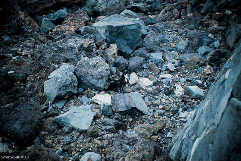131 www.ychilov.ru foto tenerife.jpg