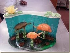 sugar aquarium