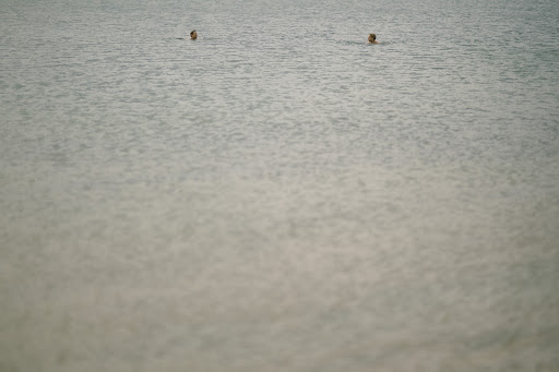 Stefan went swimming with his brothers, the bride's father, and the bride's brother the morning of the wedding.