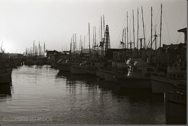 Fishermans Wharf Sundown 82 1