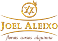 [Joel%2520Aleixo%2520logo%255B2%255D.png]