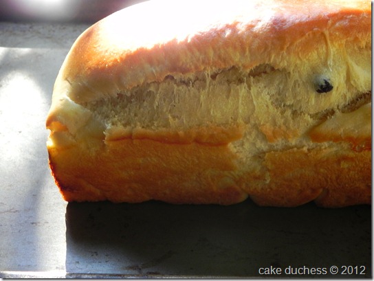 honey-challah-for-breaking-bread-3 honey-challah-for-breaking-bread-3