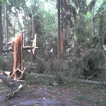 2012-08-06 17.33.14.jpg